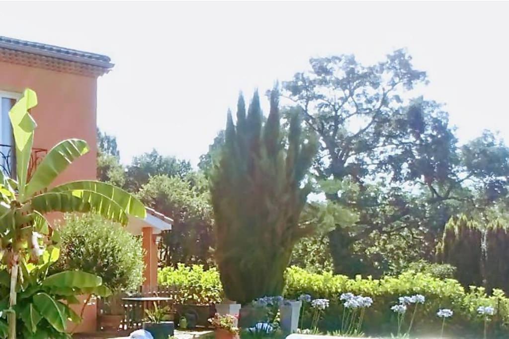 Apartment Jasmin & Jardin 1 A 2 Pers A Terra *